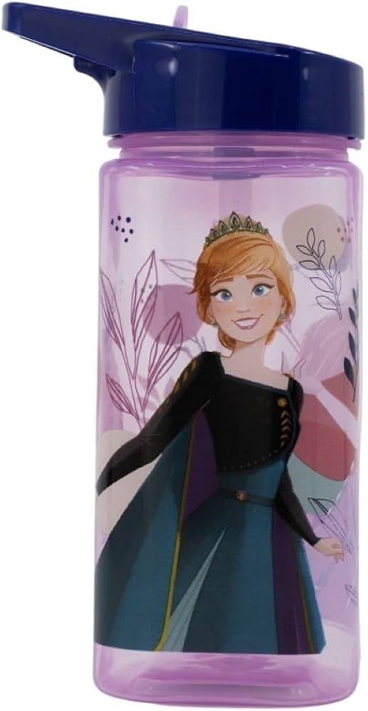 Botella  de frozen Disney